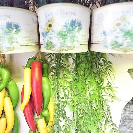 아파트 El De Santa Emilia By Just