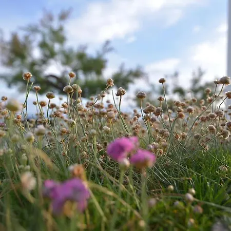 El De Santa Emilia By Just 아파트 *