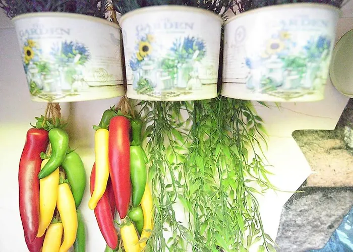 Apartman El De Santa Emilia By Just