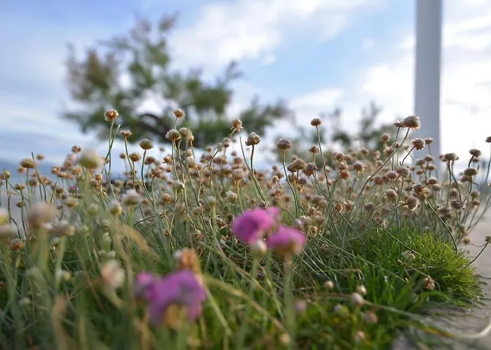 El De Santa Emilia By Just Apartman *